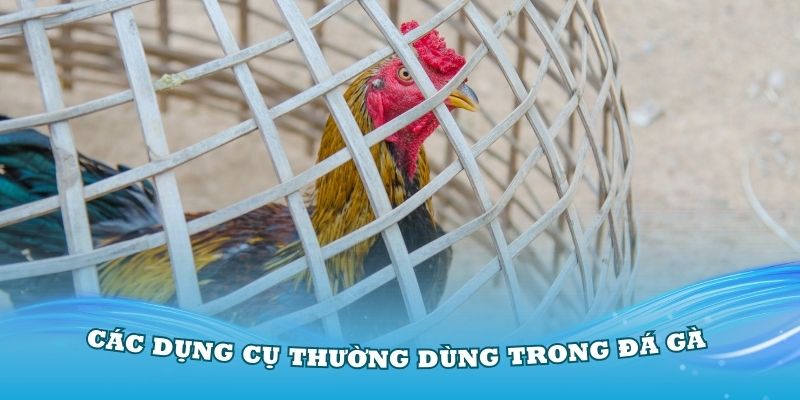 Các dụng cụ thường dùng trong đá gà